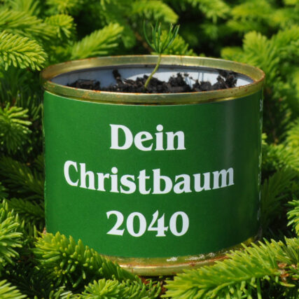 Dein Christbaum 2040