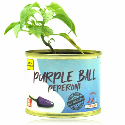 Purple Ball