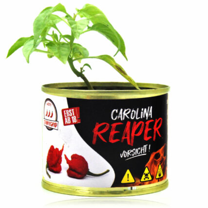 Carolina Reaper Chili